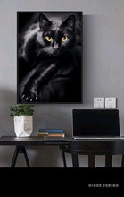 Lade das Bild in den Galerie-Viewer, Diamond Painting Bild round 30x40 BLACKCAT - NISER DESIGN
