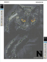 Lade das Bild in den Galerie-Viewer, Diamond Painting Bild round 30x40 BLACKCAT - NISER DESIGN
