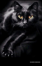 Lade das Bild in den Galerie-Viewer, Diamond Painting Bild round 30x40 BLACKCAT - NISER DESIGN
