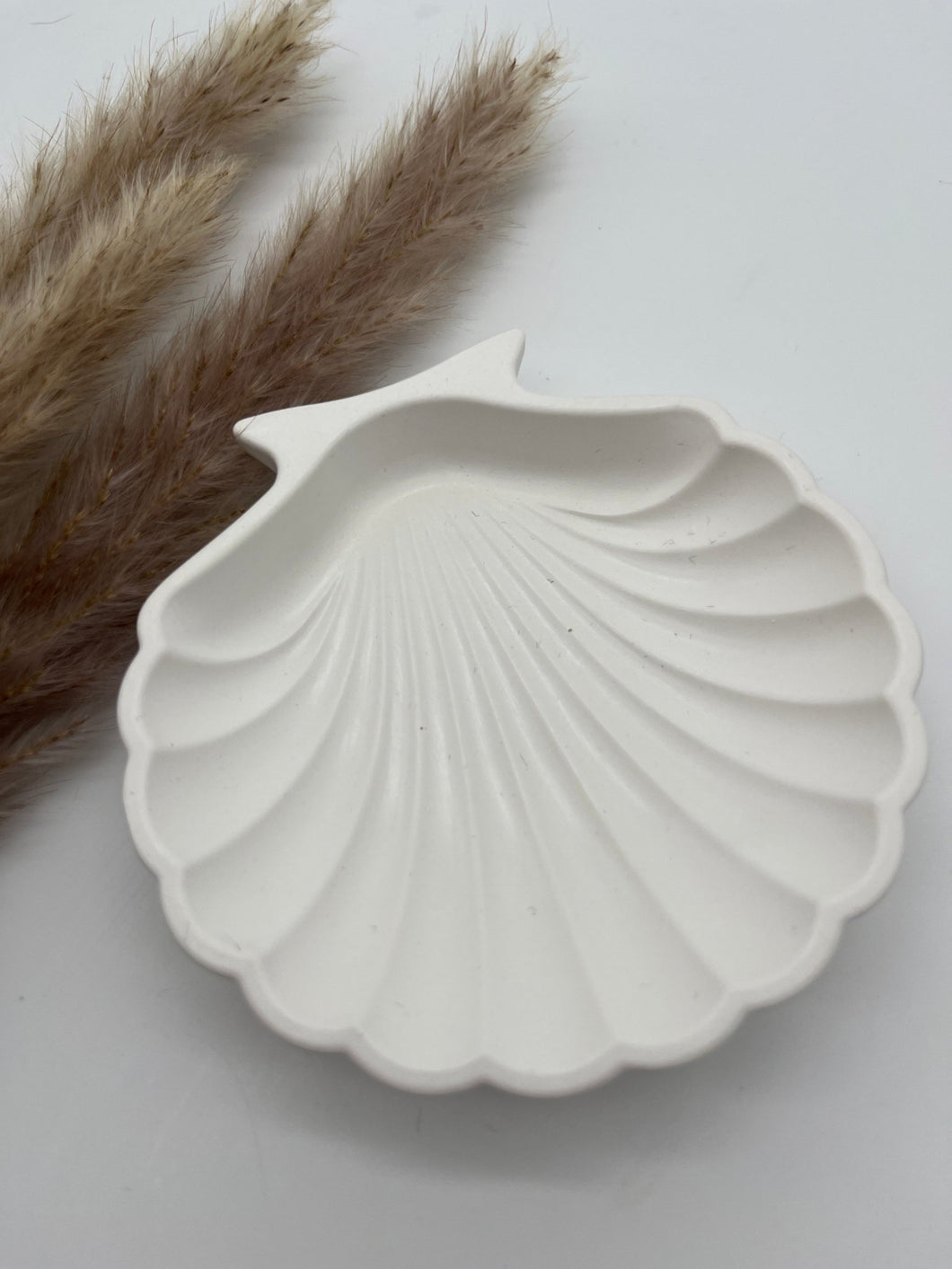 Muschelschale RÜGEN - NISER DESIGN